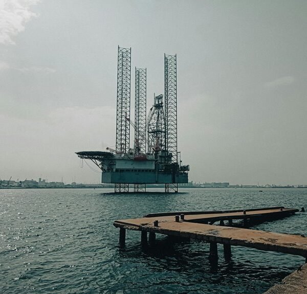 develop your online business