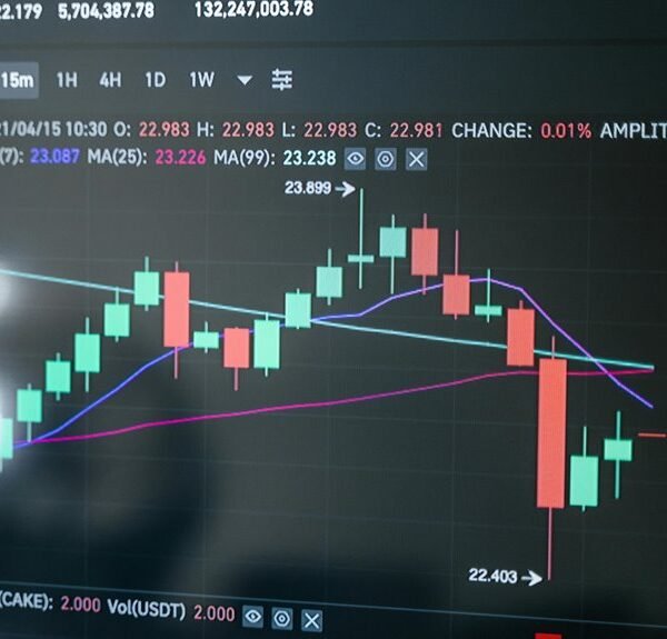 maximize online marketing platform