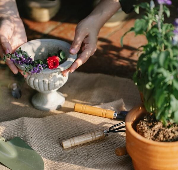 optimize your digital growth